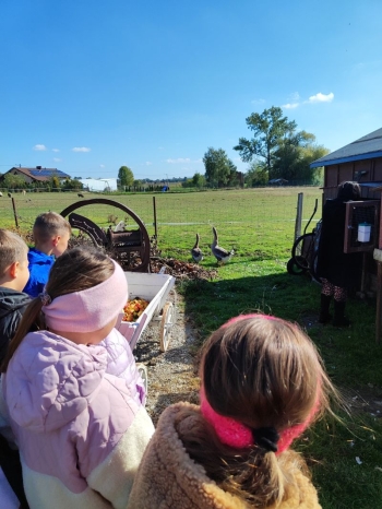 558513363_1372402244673264_3339583678970777014_n