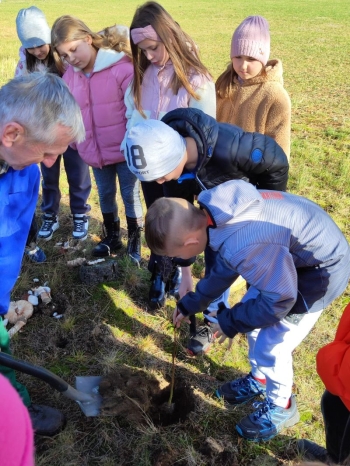 569321353_1394614779118677_305719599544919013_n