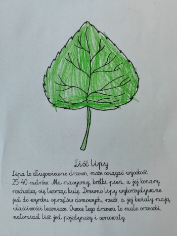 571353408_1394614465785375_7972290919301646392_n