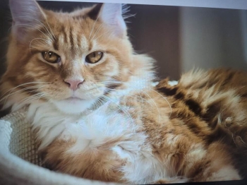 634903849_1483881170192037_7289115873614159940_n