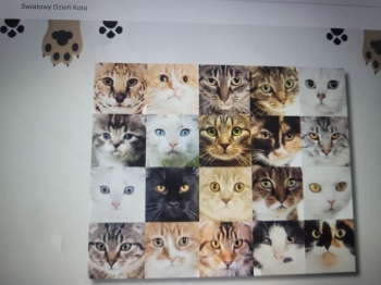 635130022_1483881320192022_3847547705587458979_n